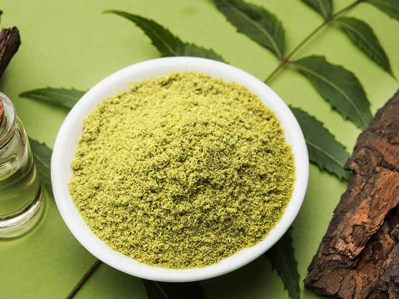 Ним в Аюрведе: применение, Azadirachta indica